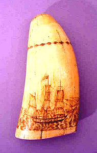 Rare antique scrimshaw tooth with whaling scene