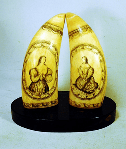 Rare pair of antique American scrimshaw teeth BANKNOTE ENGRAVER
