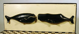 Unusual Scrimshaw Whale Stand