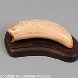 Vintage Scrimshaw of Narwhal on Sperm Whale Tooth by Alvin White