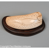 Vintage Scrimshaw of Narwhal on Sperm Whale Tooth by Alvin White