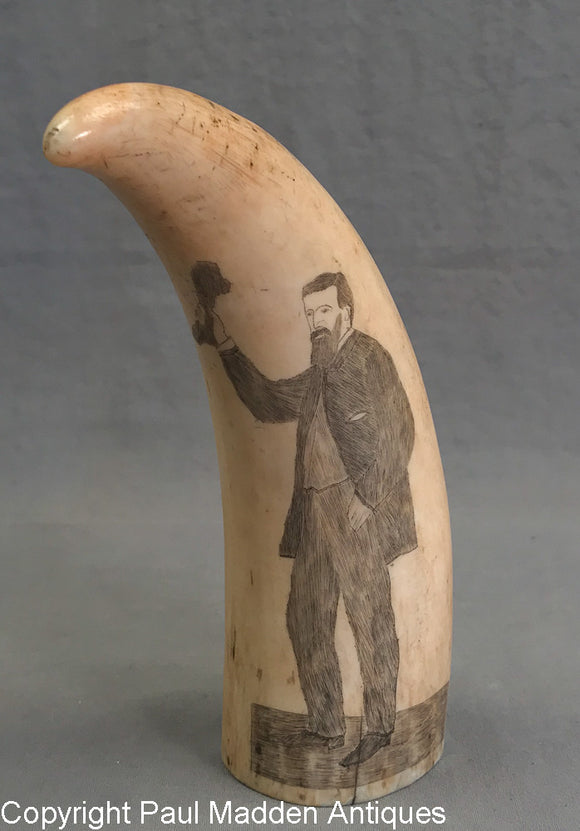 Vintage Scrimshaw Tooth by Manuel Cunha