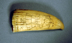 Vintage scrimshaw tooth "PAPA'S TOOTH"