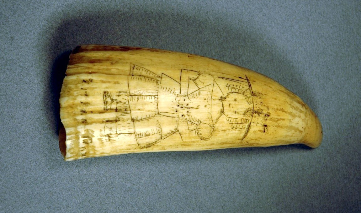 Antique Scrimshaw Teeth – Paul Madden Antiques