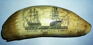 Vintage scrimshw sperm whale's tooth  CABLE SHIPS
